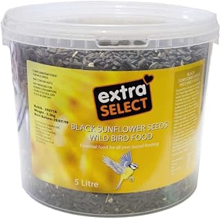 Extra Select Black Sunflower Seed Wild Bird Food, 5 Litre Tub