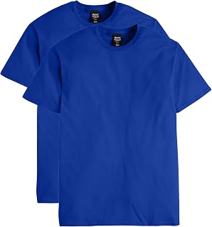 Hanes Nano Premium Cotton Men's T-Shirt (Pack of 2)