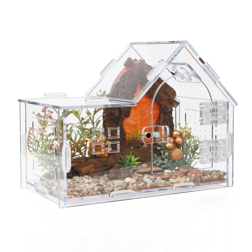 ZUIFIANLE Acrylic Jumping Spider Enclosure House-Shaped Terrarium | House-shaped