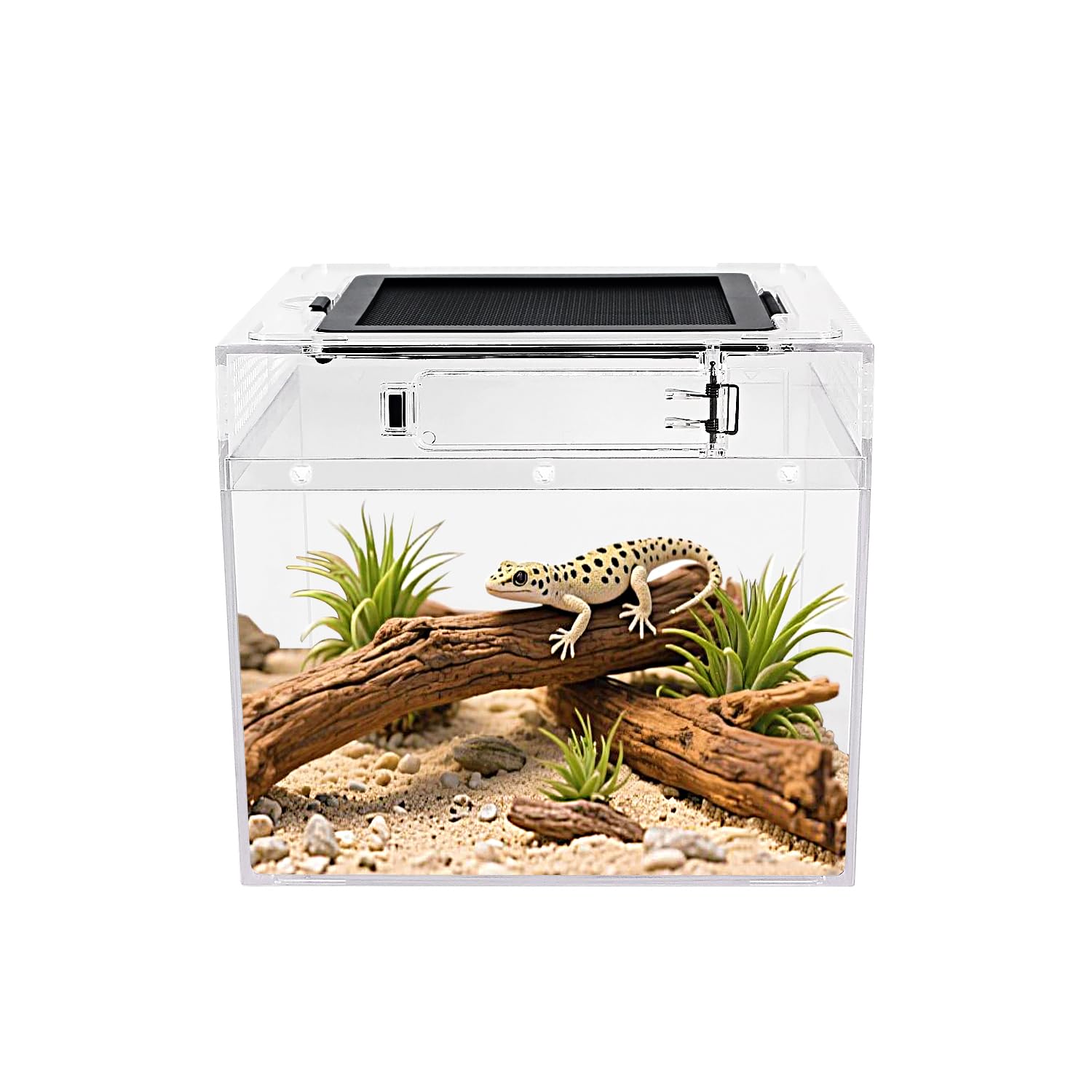 Reptile Growth Mini Reptile Terrarium,8" x 8"x 7" Reptile Tank with Full View Vi