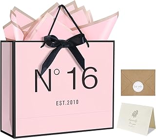 QLSKO 13" Birthday Gift Bag with Card Envelope Sticker Bow Ribbon and Tissue papers for Women Girls Design with Handles,13th-100th (EST.2010 16th, 13" W x 10.5" H x 4.3" D)