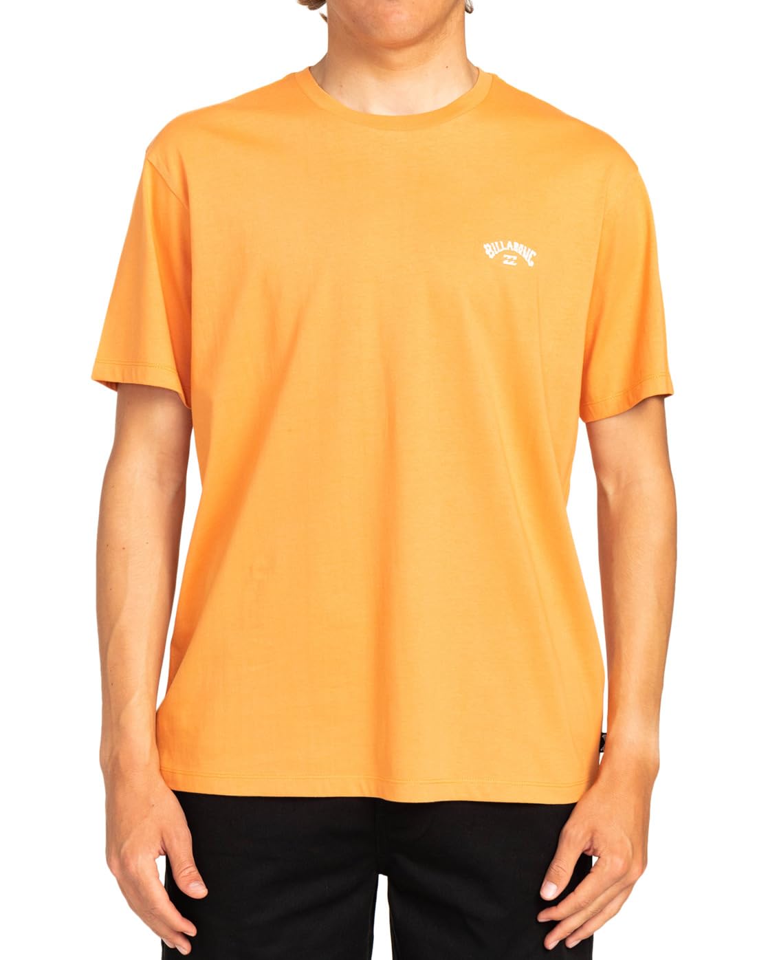 Billabong Arch Crew SS Men's T-Shirt (Pack of 1)