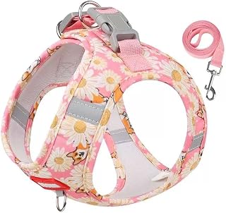 Soft Lightweight Suede Harness and Leash Set with Snap Buckle for Small Medium Puppy