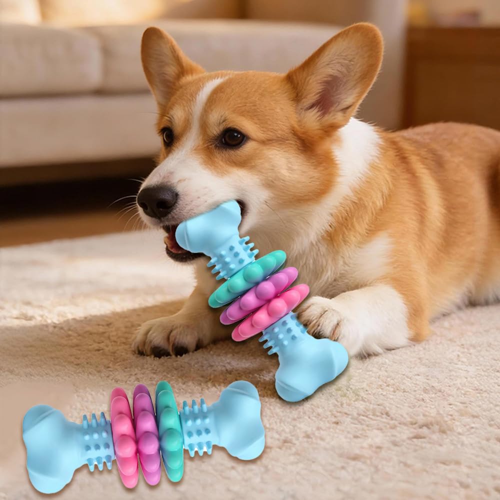 Indestructible Dog Chew Toys for Aggressive Chewers - Bone Interactive Toy Keep 