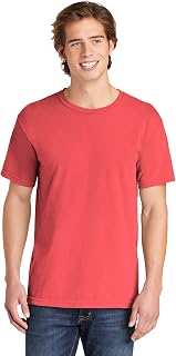 Comfort Colors Adult Short Sleeve Tee, Style G1717