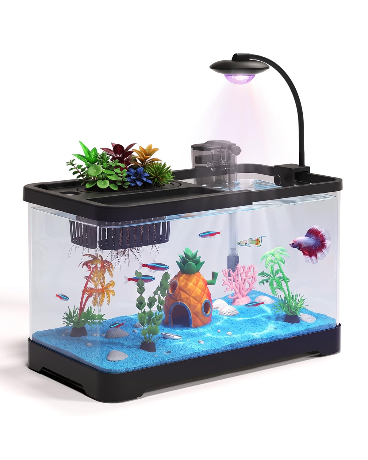 4 Gallon Fish Tank Aquarium Starter Kit with Filter and Light(Medium Black) | Pr