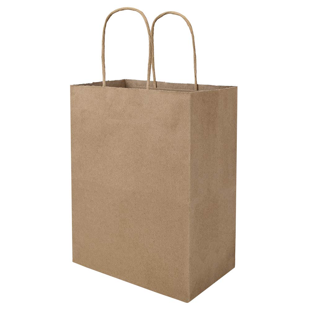 bagmad 100 Pack 8x4.75x10 Inch Plain Medium Paper Bags with Handles Bulk, Brown 