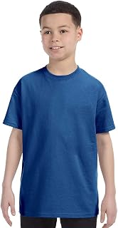 Hanes 5450 Tagless Youth T-Shirt