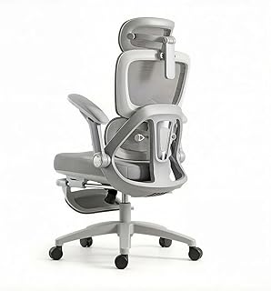 USOR Ergonomic Office Chair with 4D Adjustable Armrests & Dynamic Lumbar Support High Back Mesh Computer Desk Chair for Gaming and Work Adjustable Headrest Tilt Function and Retractable Footrest Grey