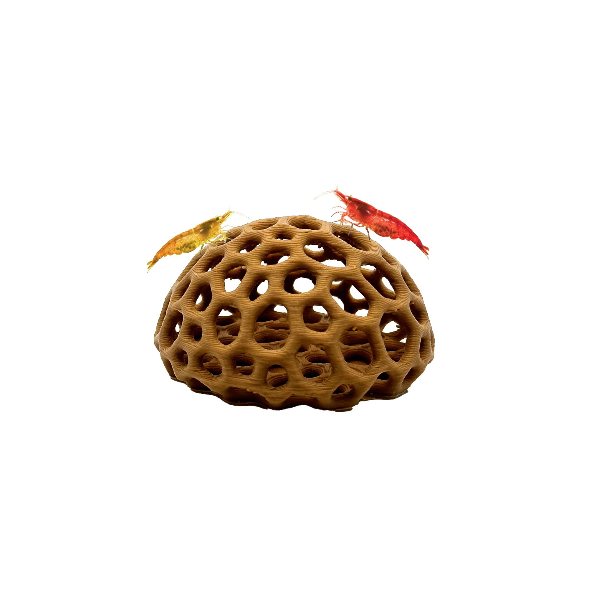 CTWPets Shrimp Dome Hide, Aquarium Cave for Cherry Shrimp, Light Brown | Dome-sh