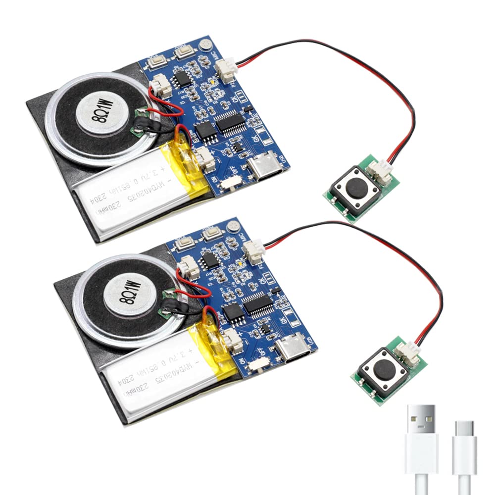 XLW Module - 16MB Push Button Activated Sound Module with Speaker, Type-C Cable,