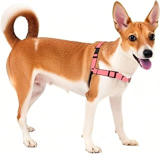 Durable Nylon Dog Harness, Adjustable Anti-Pull Pet Harness for Outdoor Walking and Training