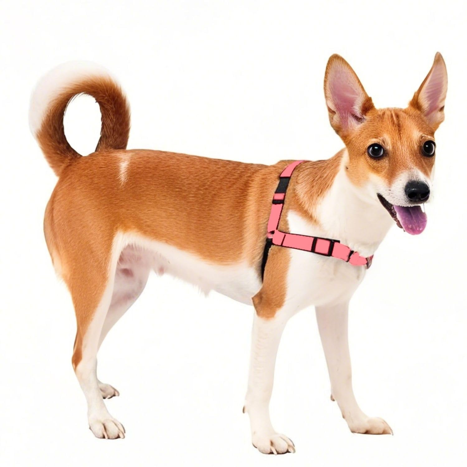 Durable Nylon Dog Harness, Adjustable Anti-Pull Pet Harness for Outdoor Walking 
