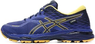 Asics T700n9007 Men's Running Shoes