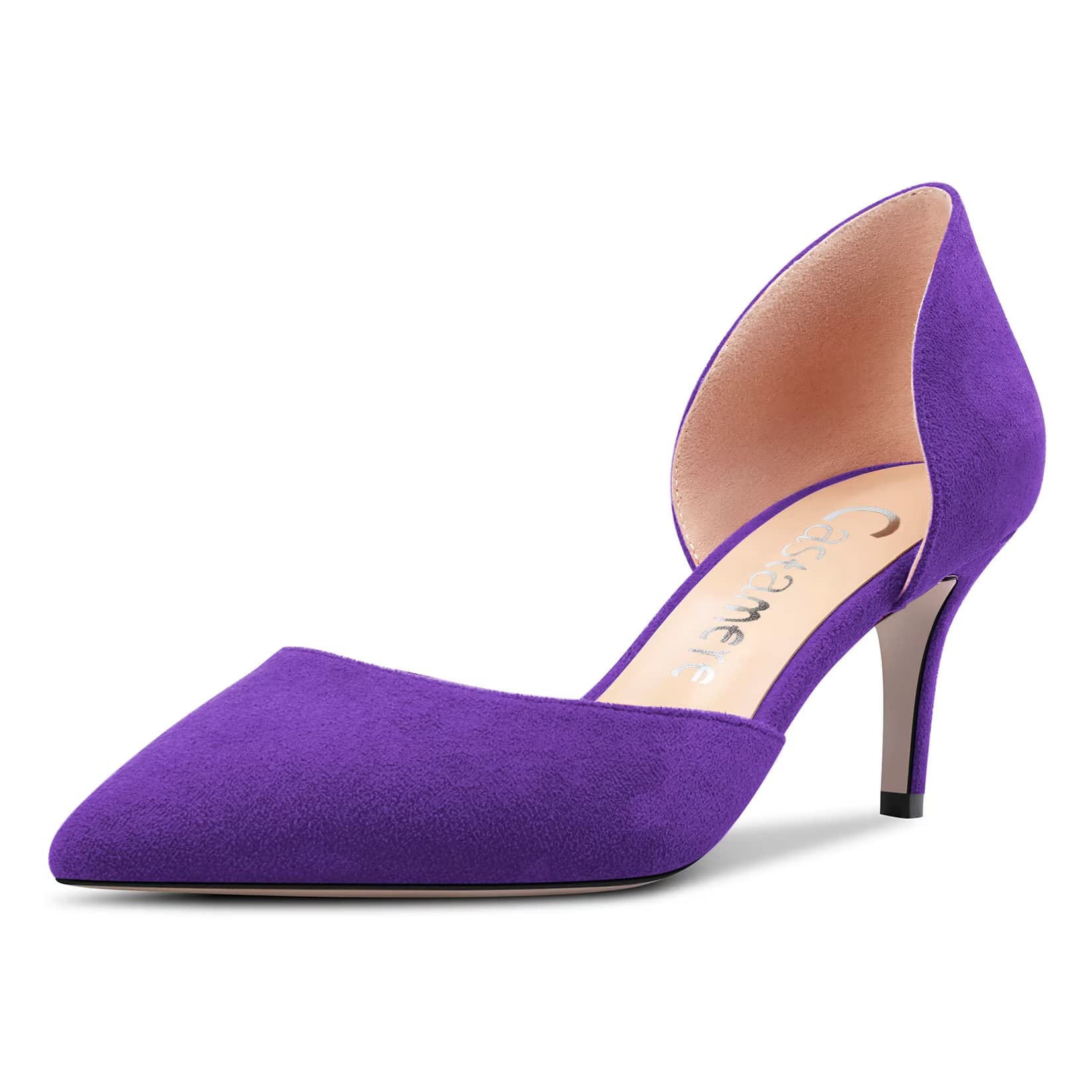 Castamere Women's Stiletto Mid Heel Pointed Toe Pumps Two-Piece Slip-on Office C