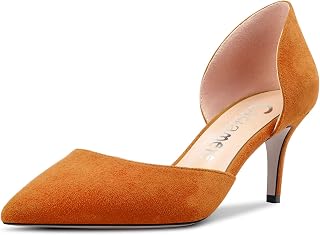 Castamere Women's Stiletto Mid Heel Pointed Toe Pumps Two-Piece Slip-on Office Classic 6 cm Heels