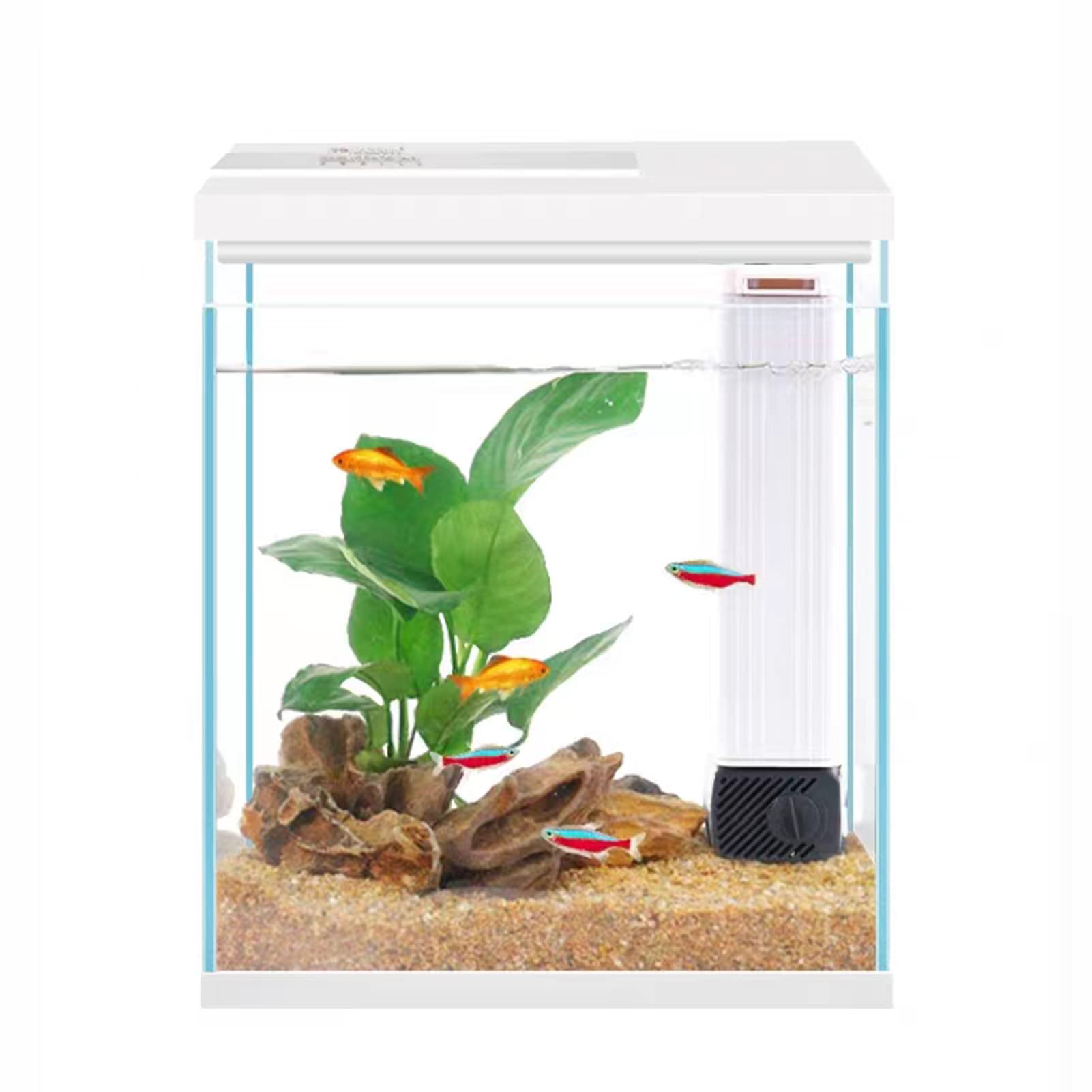 Pronetcus Betta Fish Tank, 2 Gallon Glass Aquarium Starter Kit, Small Fish Tank 