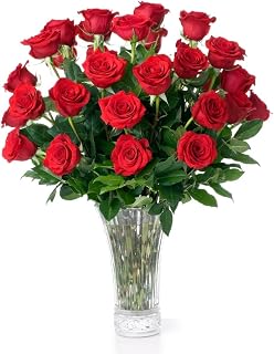 Aquarossa Farms – Fresh Cut Flowers for Delivery, Gifts for Graduation, Birthday, Anniversary, or Just Because – 24 Red Fresh Roses