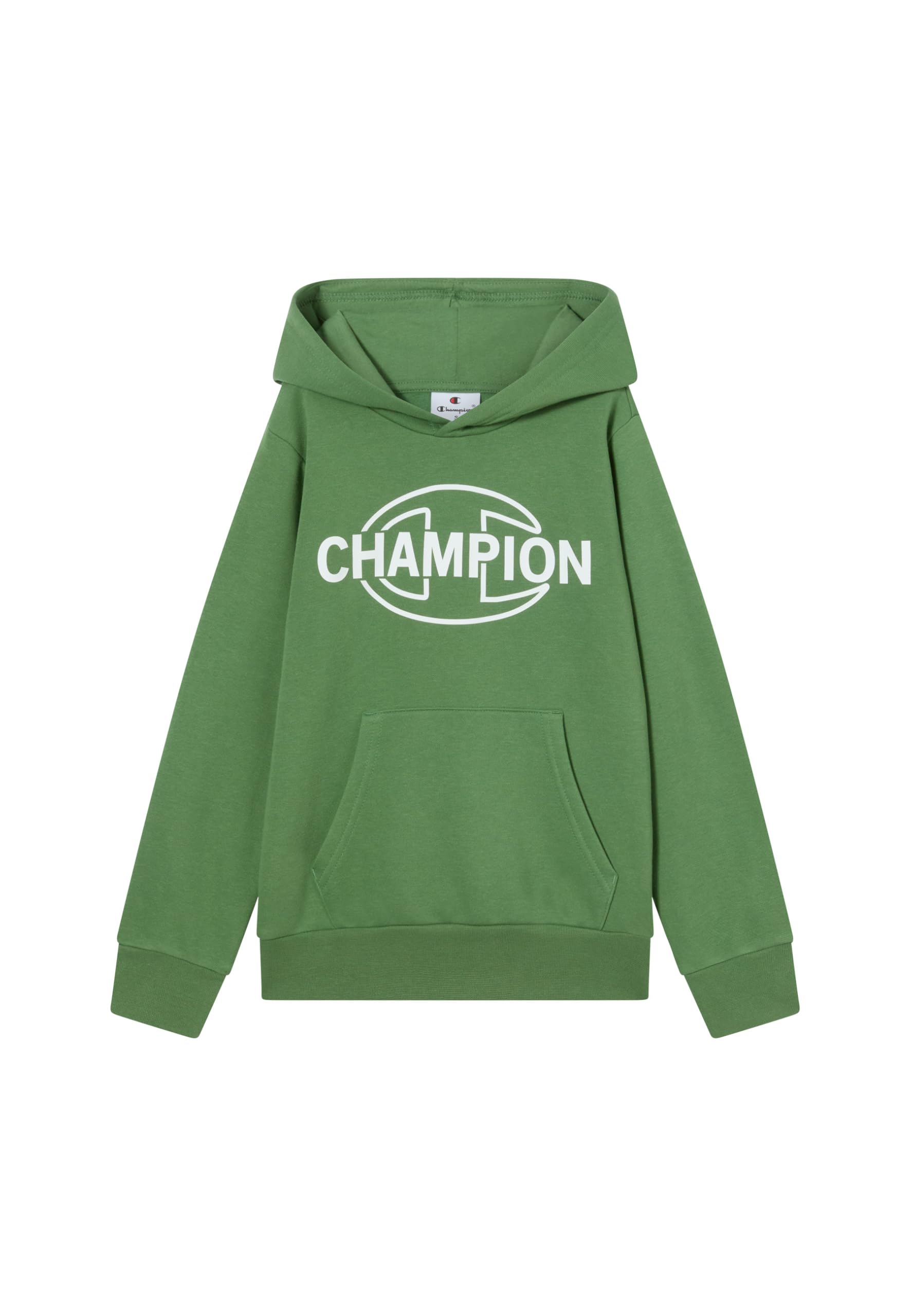 Champion Legacy Boys Hoodie (Pack of 1)