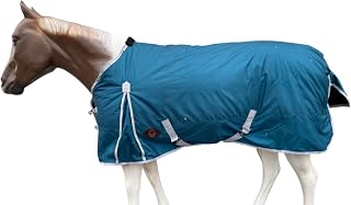 Tech Equestrian 1200 Denier Horse RAIN Sheet | Horse Turnout Sheet | Horse RAINSHEET (Waterproof & Breathable) (Teal_Grey_Trim, 72)