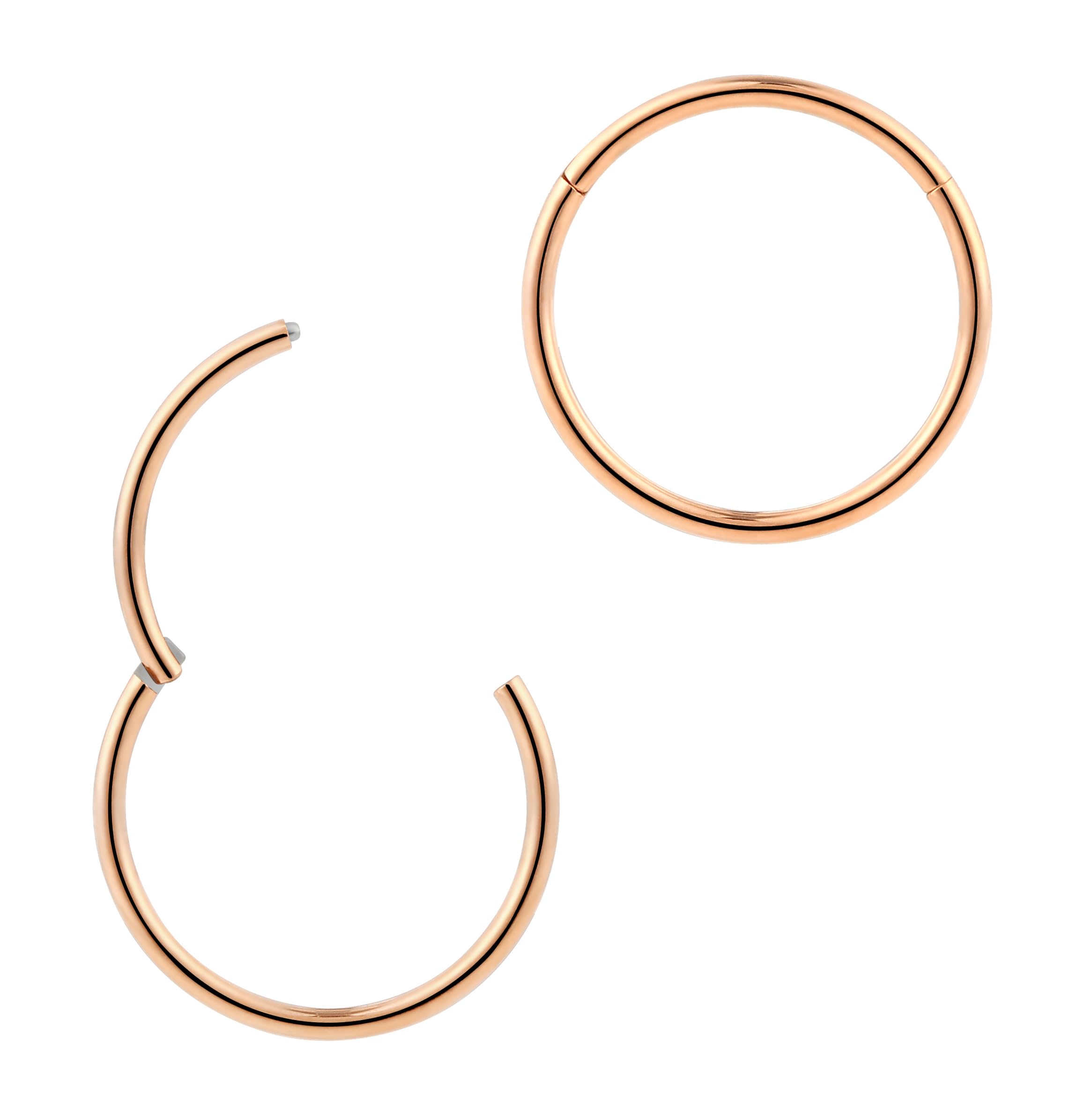 2pcs 316L Surgical Steel 18G (standard fit) Hinged Segment Ring Hoop – Hypoaller