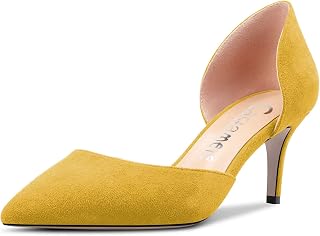 Castamere Women's Stiletto Mid Heel Pointed Toe Pumps Two-Piece Slip-on Office Classic 6 cm Heels