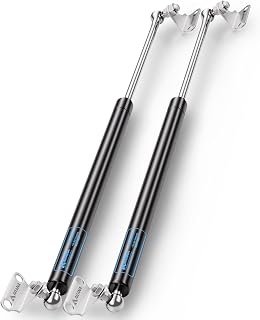 ARANA Gas Struts 25" 100lb for RV Bed Hatch & Storage Box Lid, 2 Pack | Heavy Duty Lift Support with Brackets, Fits Camper Bed, Cellar Door & Food Truck Window, Durable Gas Spring for 80-110lbs Lid