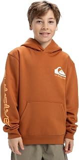 Quiksilver Omni Logo Hoodie Youth Pullover for Children and Boys (Pack of 1)