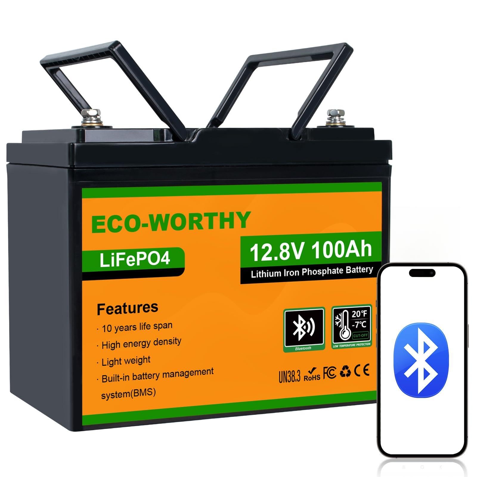 ECO-WORTHY 12V 100Ah LiFePO4 Battery with Bluetooth & Low-Temp Cut Off | 1280Wh,
