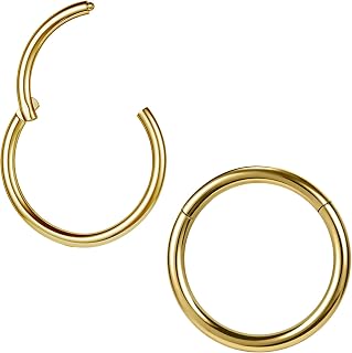 ZS 2Pcs Titanium Nose Rings Conch Hoop Lip Rings Helix Hoop Earrings | ASTM F136 Titanium Cartilage Tragus Piercing Jewellery, Black Silver Gold Septum Rings, 6/7/8/9/10/12/14mm