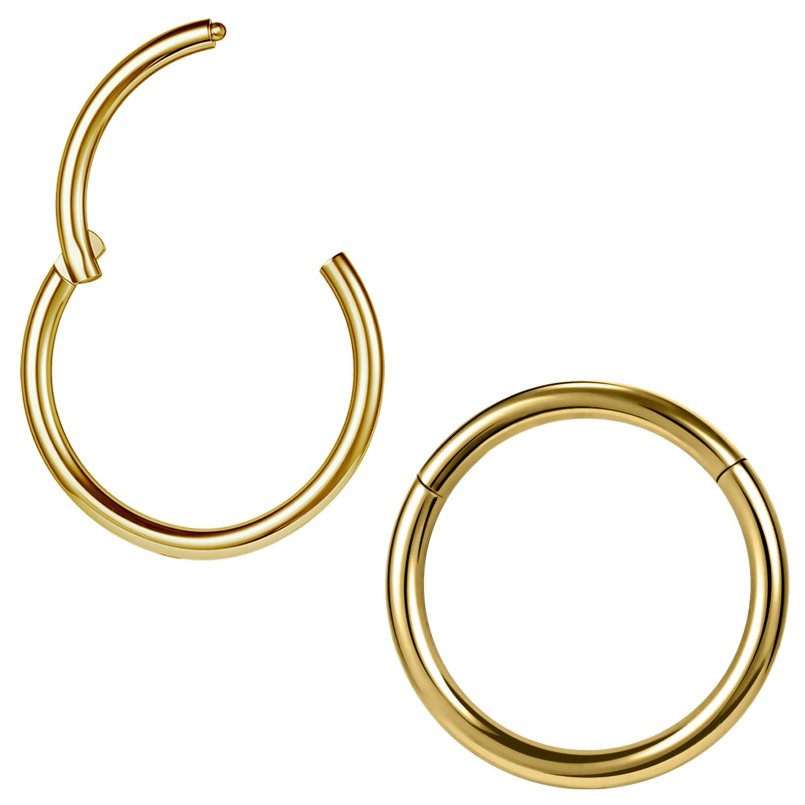 ZS 2Pcs Titanium Nose Rings Conch Hoop Lip Rings Helix Hoop Earrings | ASTM F136