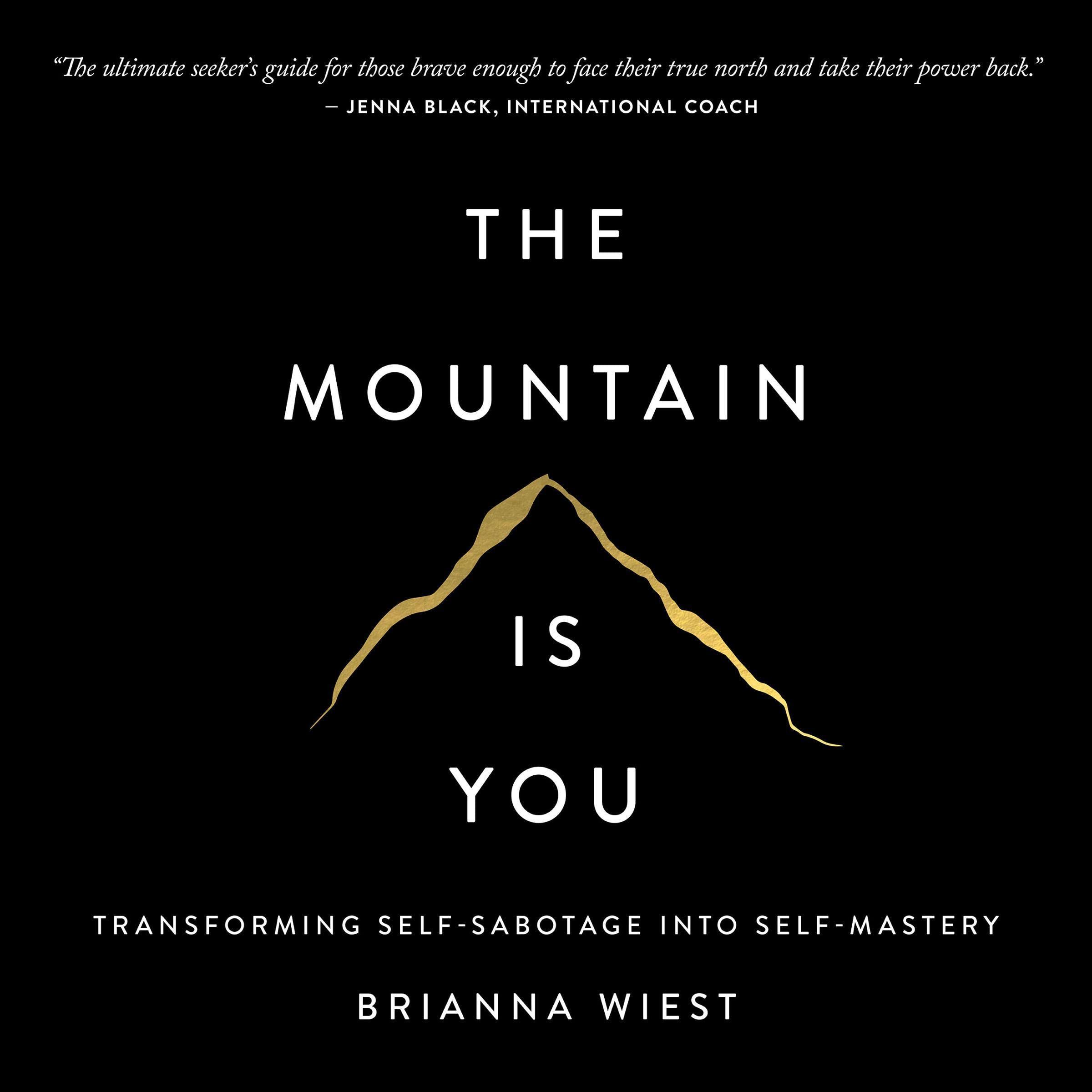 The Mountain Is You: Transforming Self-Sabotage into Self-Mastery
