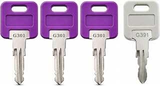 G389 Replacement Keys, 3 Pack, Compatible with Global Link RV Trailer Camper Locks, Pre Cut to Key Code Series G301–G390, with one G391 Key