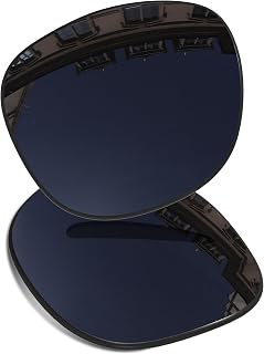 Photochromic Replacement Lenses for Ray-Ban Meta Wayfarer RW4008/RW4006/RW4012 (Gen 2) AI Glasses for Men and Women