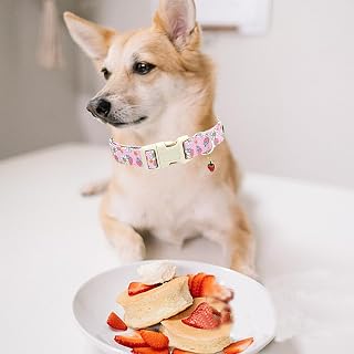 Dog Collar Strawberry Print Pink Dog Collar Girls Spring Summer Cute Collar Pet Gift Durable Adjustable Dog Collar for Small Dogs