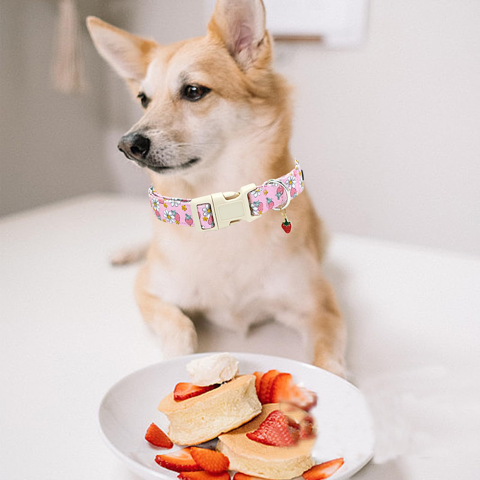 Dog Collar Strawberry Print Pink Dog Collar Girls Spring Summer Cute Collar Pet 