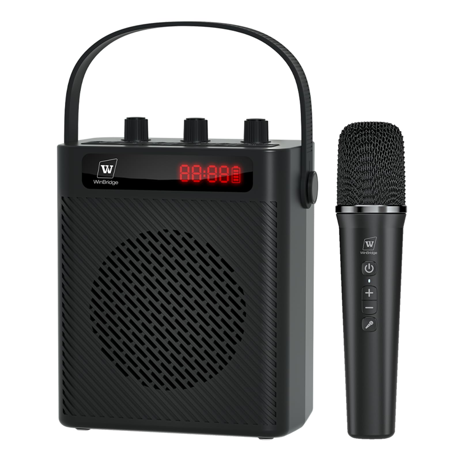 Voice Amplifier with Wireless Mic, 30W Portable Microphone and Speaker | Bluetoo