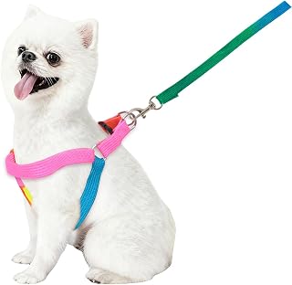 1 Pack Pet Adjustable Nylon Dog Chest Harness Strap Chain Cute Rainbow Collar Back Chest Tow Suit Dog Rope Lead Chain for Puppy Cat