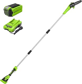 Greenworks 40V 8 in Electric Pole Saw, 2.0 Ah Battery and Charger | Cordless, Powerful Performance, Great For Pruning and Trimming Branches, Hard to Reach Areas, Storm Cleanup