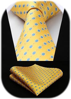 HISDERN Dot Ties for Men Wedding Tie Handkerchief Formal Business Necktie & Pocket Square Set