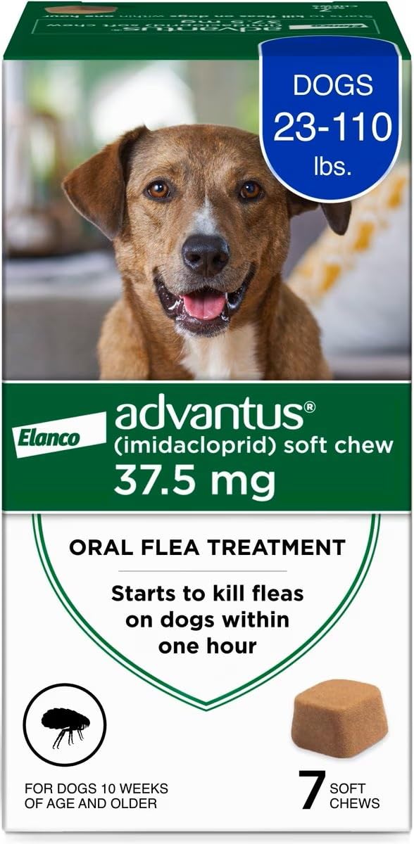 Advantus (Imidacloprid) Soft Chew Flea Treatment for Dogs 23-110 lbs., 7 ct | Fl