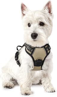 rabbitgoo Dog Harness for Small Dogs Anti-Pull with Handle, XS, Beige