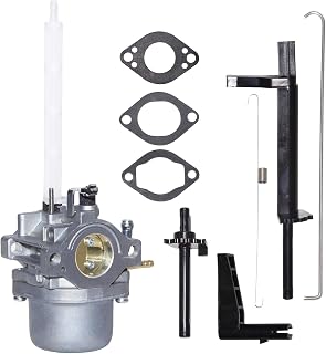 Carburetor fit for Briggs & Stratton Snowblower Replaces # 796122 794593 793161 696737 Compatible 20A114 20A414 20M114 20M107 Engines