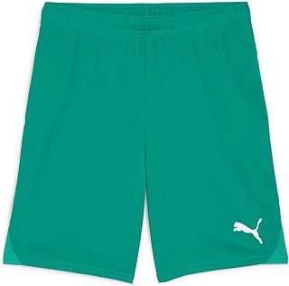 Puma Teamgoal Shorts - Unisex Adult Knit Shorts