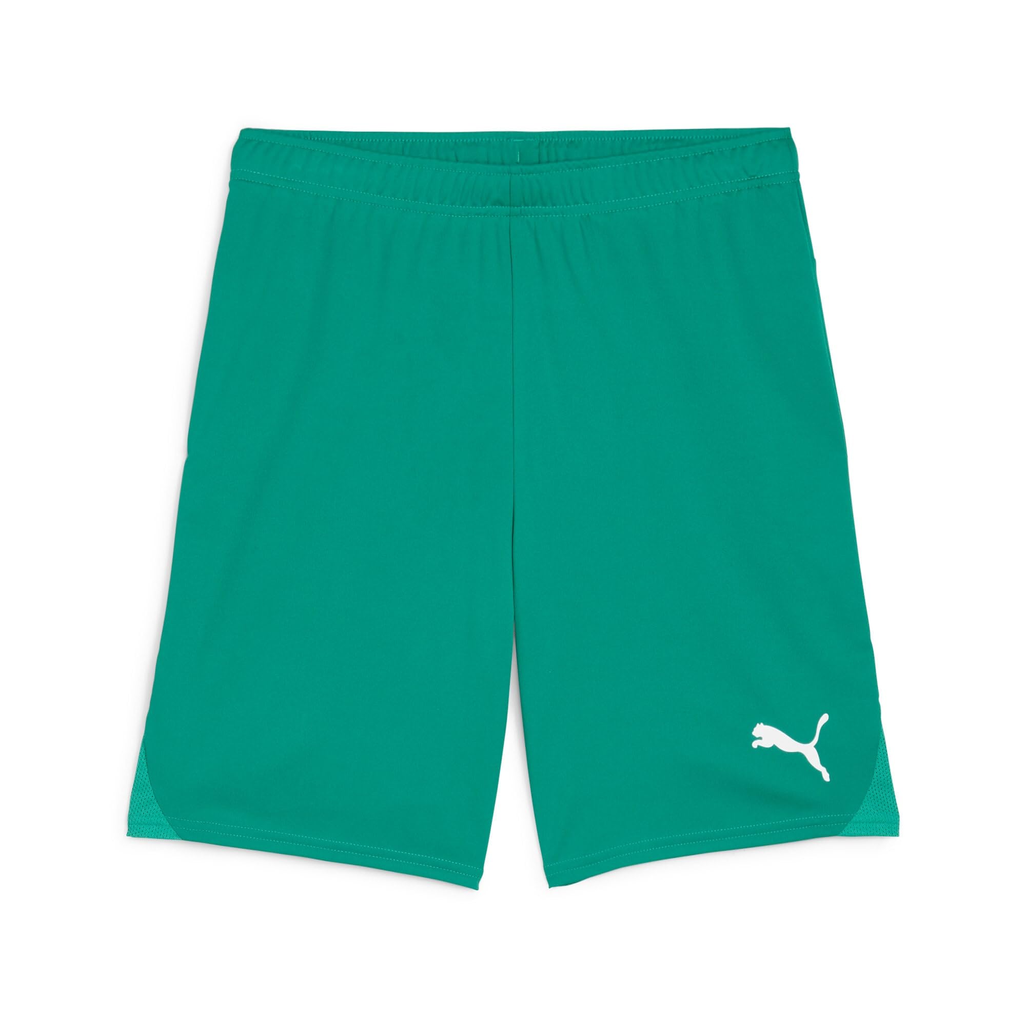 Puma Teamgoal Shorts - Unisex Adult Knit Shorts