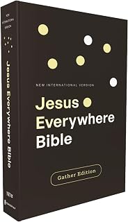 NIV, Jesus Everywhere Outreach Bible, Larger Print, Paperback, Comfort Print