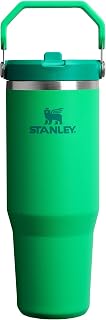 STANLEY IceFlow 2.0 Flip Straw Tumbler, 30 oz, Meadow
