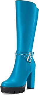 Castamere Women's Chunky Wide High Heel Closed Toe Round Toe Half Zipper Buckle Closure Office Classic Boots