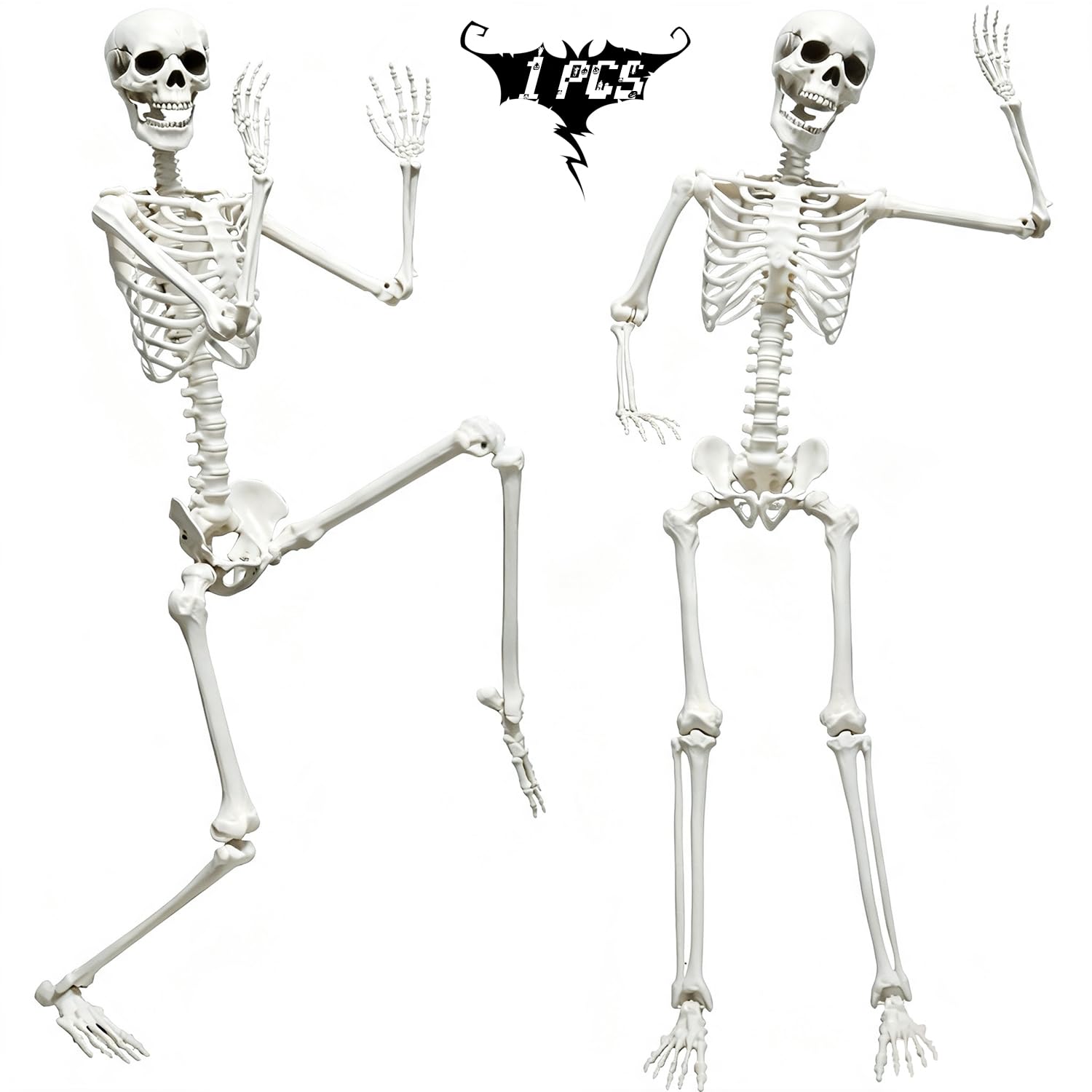 5.9FT Skeleton Halloween Full Size, Life Size Skeleton with Posable Joints | Pos