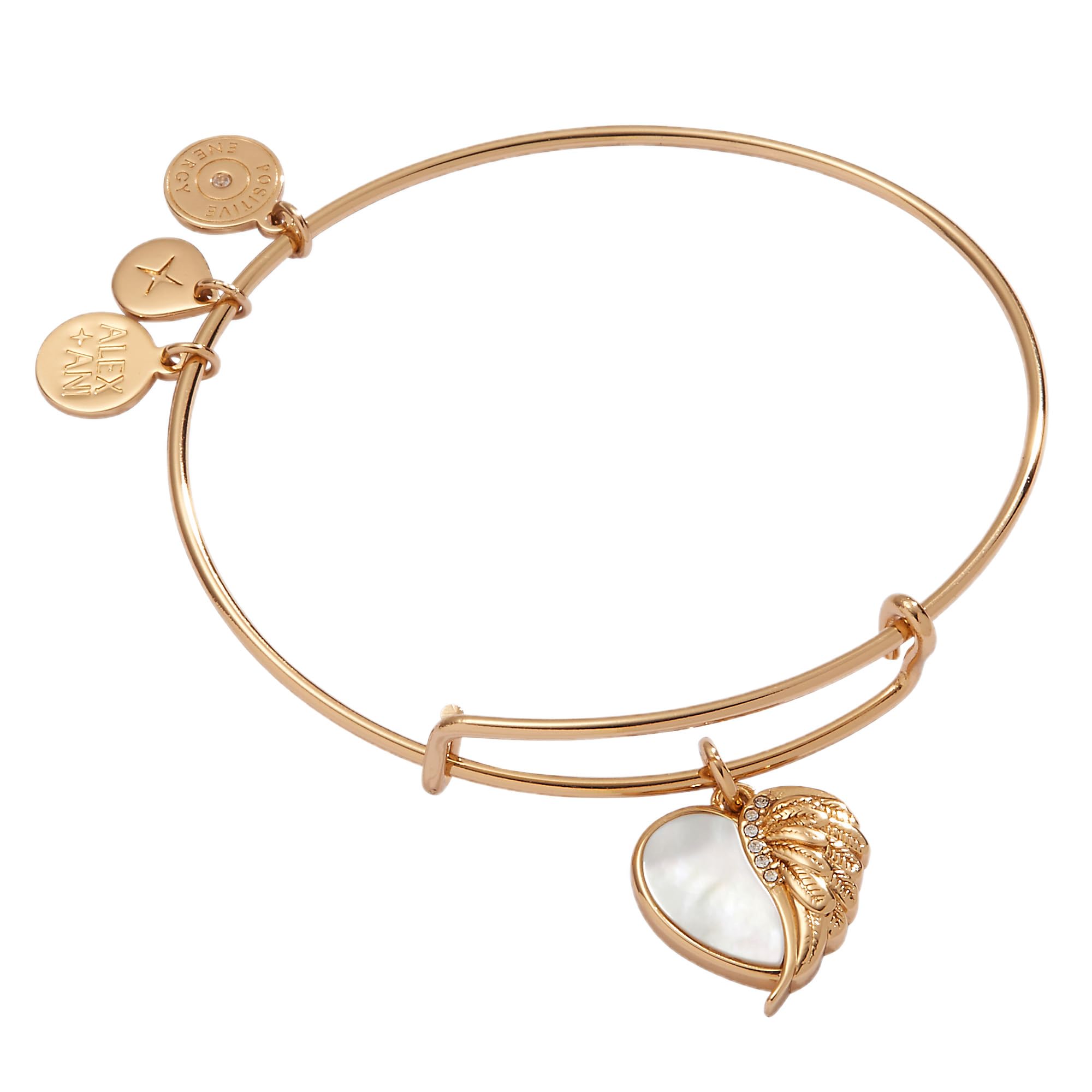 Alex and Ani Bracciale rigido con ciondoli a forma di ali di protezione, taglia 